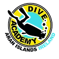Logo of Dive Academy Ireland featuring a black silhouette of a scuba diver against a blue circle with a yellow border. The words "DIVE ACADEMY" and "IRELAND" are displayed around the diver.