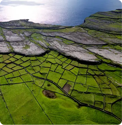 Aerial view of patchwork green fields bordered by stone walls, with rocky cliffs meeting the blue sea under bright sunlight.