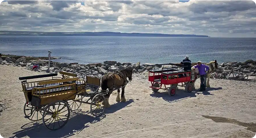 Two horse-drawn carriages are parked on a rocky beach near the ocean. Two people stand beside one carriage, while another horse grazes nearby under a partly cloudy sky.